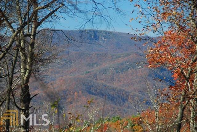 19 Chestnut Mtn - Photo 1