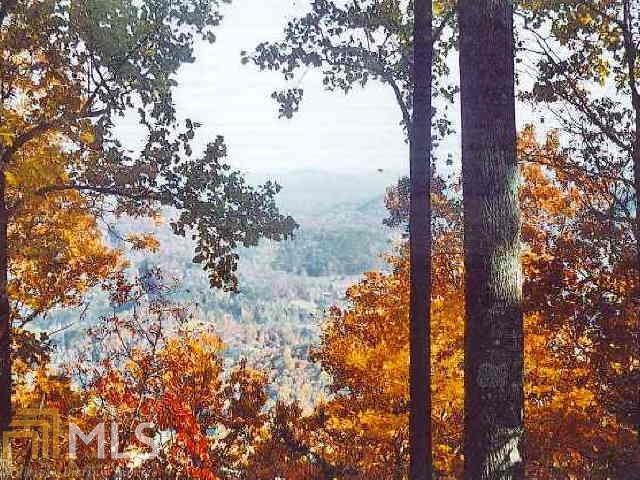 0 Highland Gap Rd - Photo 1