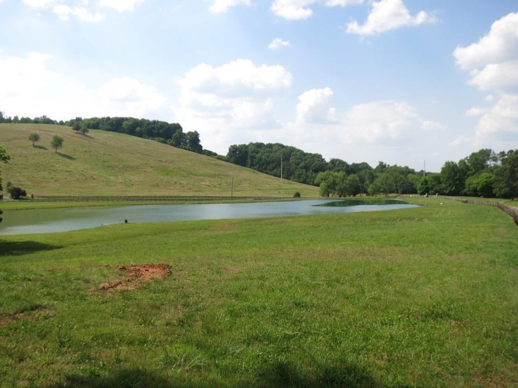 0 Marion Dairy Rd - Photo 1