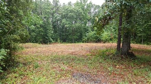 0 Big Oak Dr - Photo 1