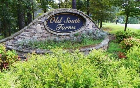 0 Old South Farms - Photo 1