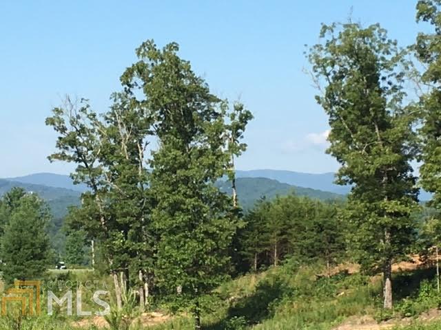 53 Old Toccoa Farm - Photo 1
