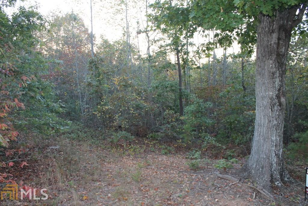 443 Chateau Village Dr - Photo 1