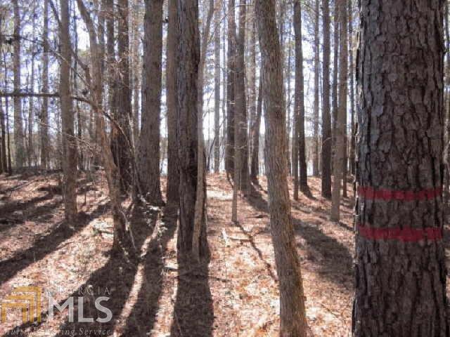 116 View Pointe Dr - Photo 1