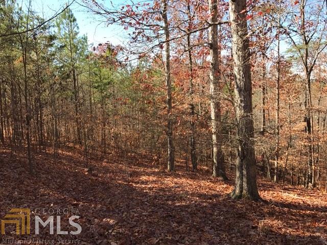 12 Mountain Creek Trl - Photo 1