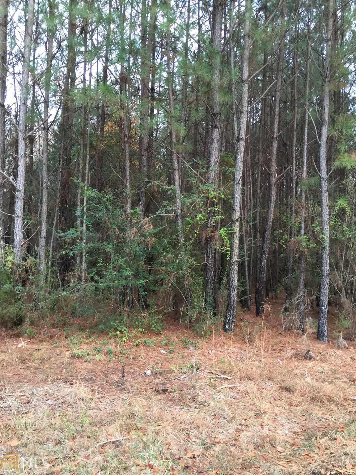 1540 Macland Rd - Photo 1
