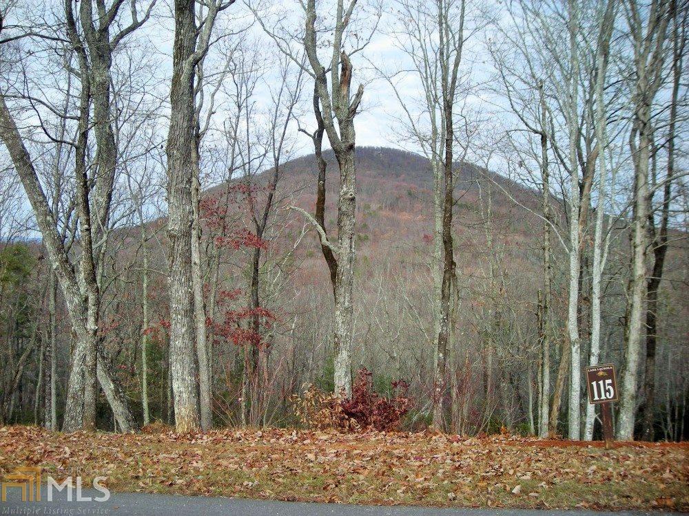 0 S Laceola Rd - Photo 1