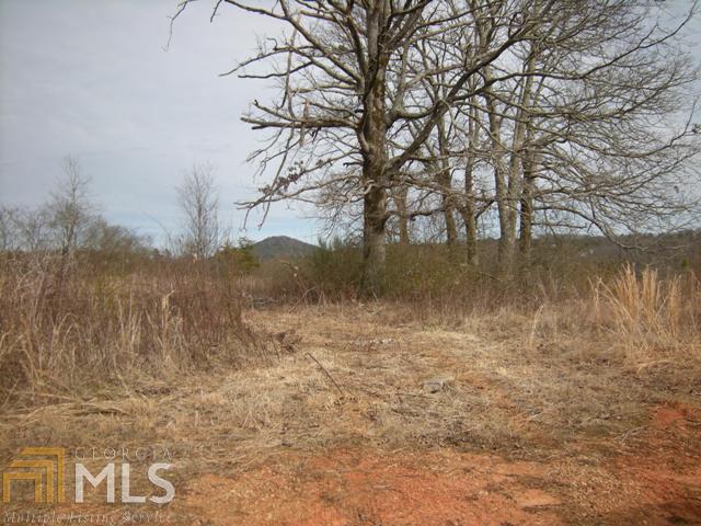 0 Phillips Rd - Photo 1