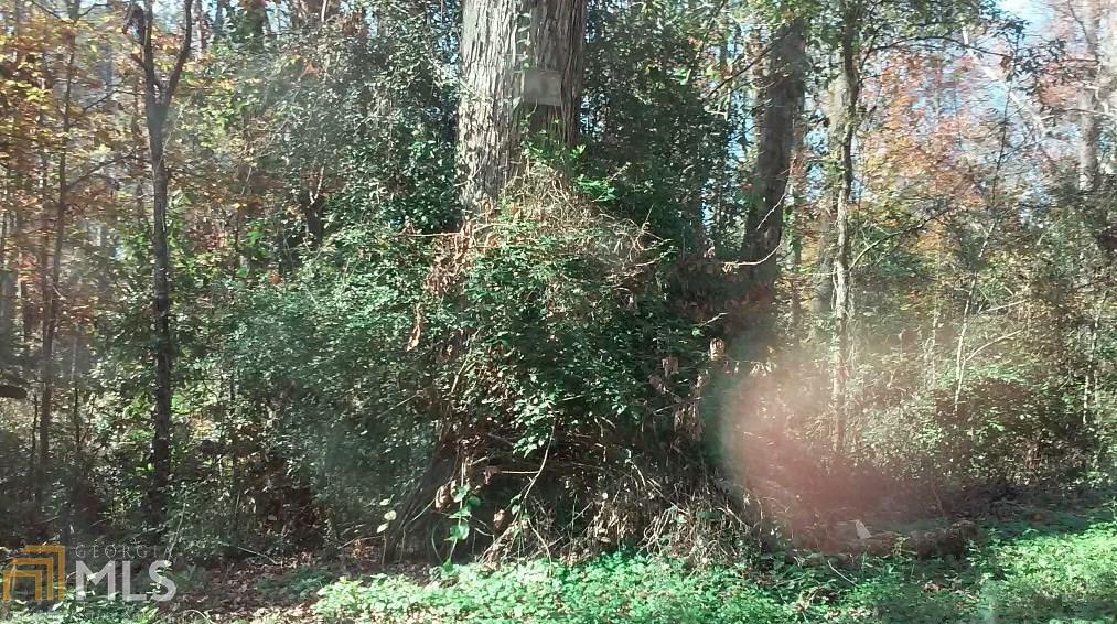0 Palmetto - Photo 1