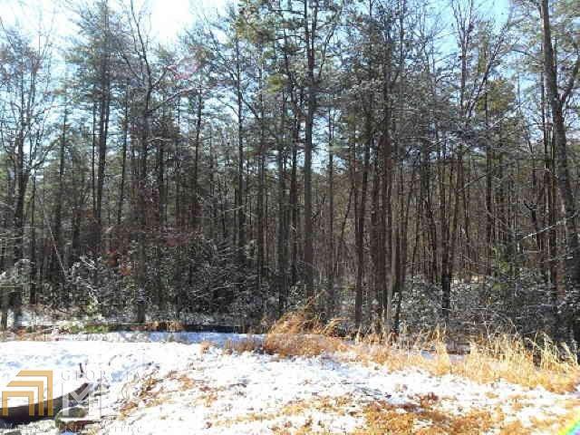 1452 Raspberry Ln - Photo 1