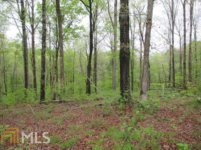 4536 Fawn Path - Photo 1