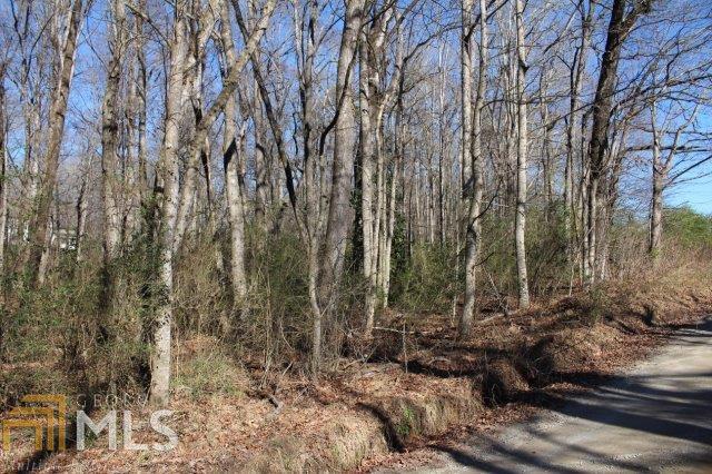 0 Glade Creek Rd - Photo 1