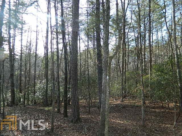 0 Old Village Rd - Photo 1