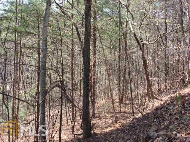 0 Lancelot Loop Rd - Photo 1