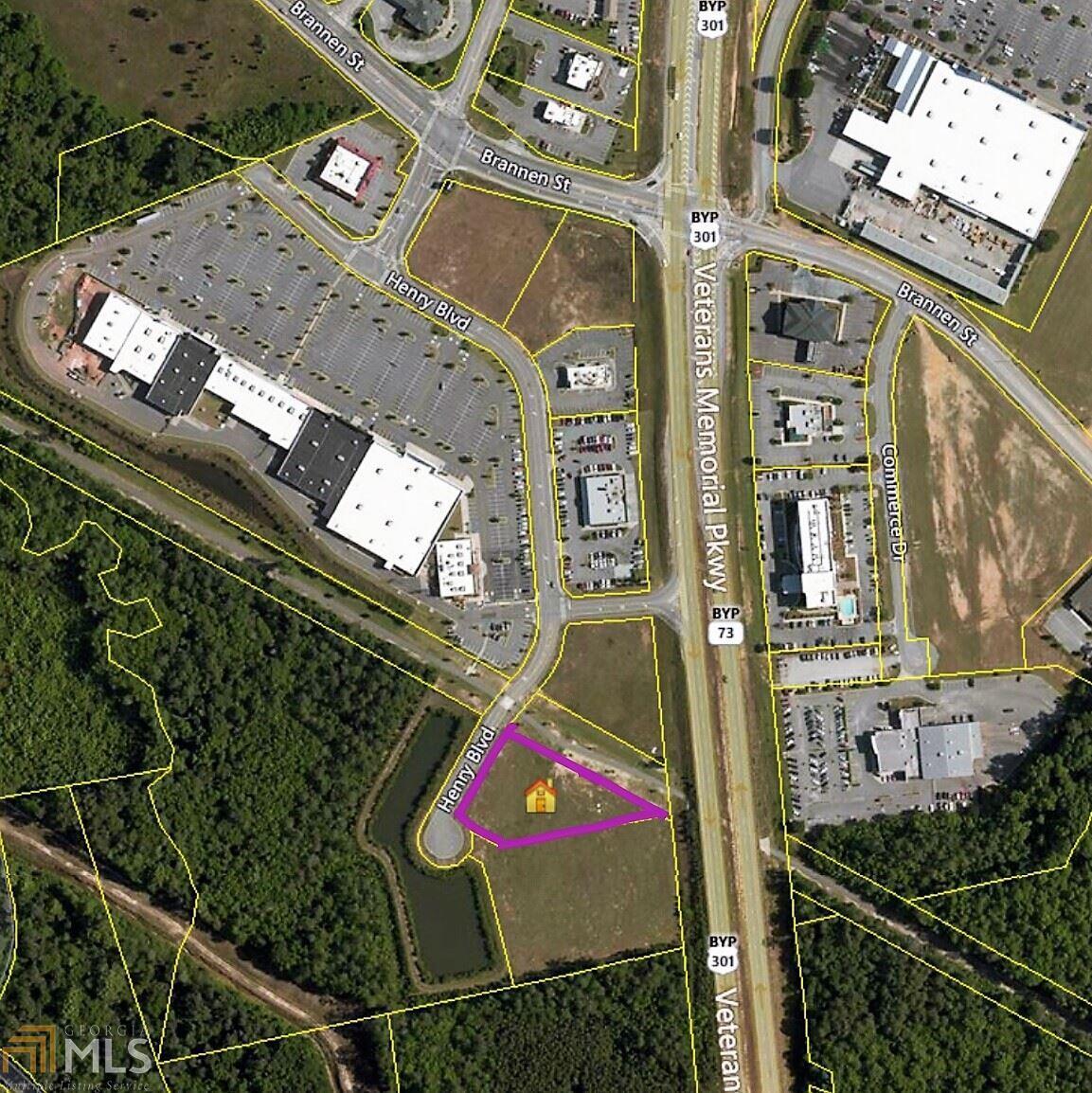 0 Henry Blvd - Photo 1