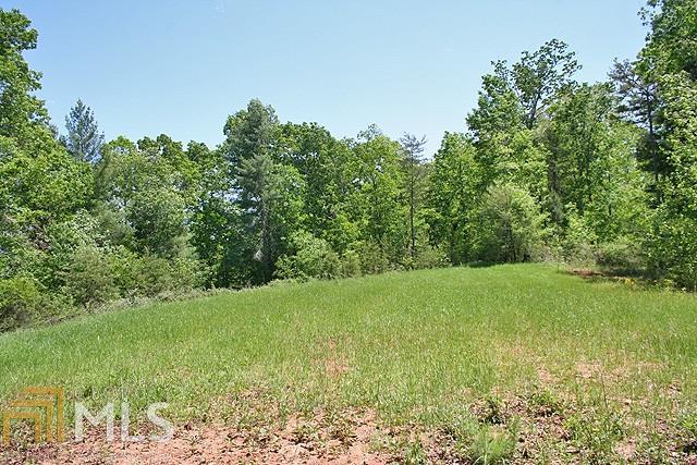 0 Off Of Pink Williams Rd - Photo 1