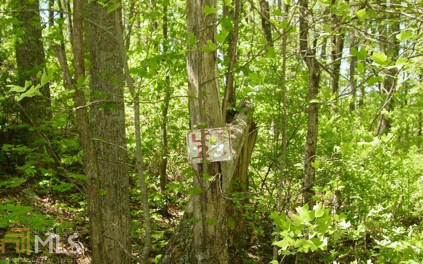 736 Deer Ln - Photo 1