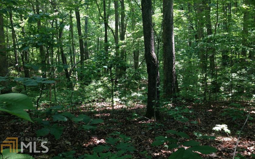 0 Chattahoochee Acres Dr - Photo 1