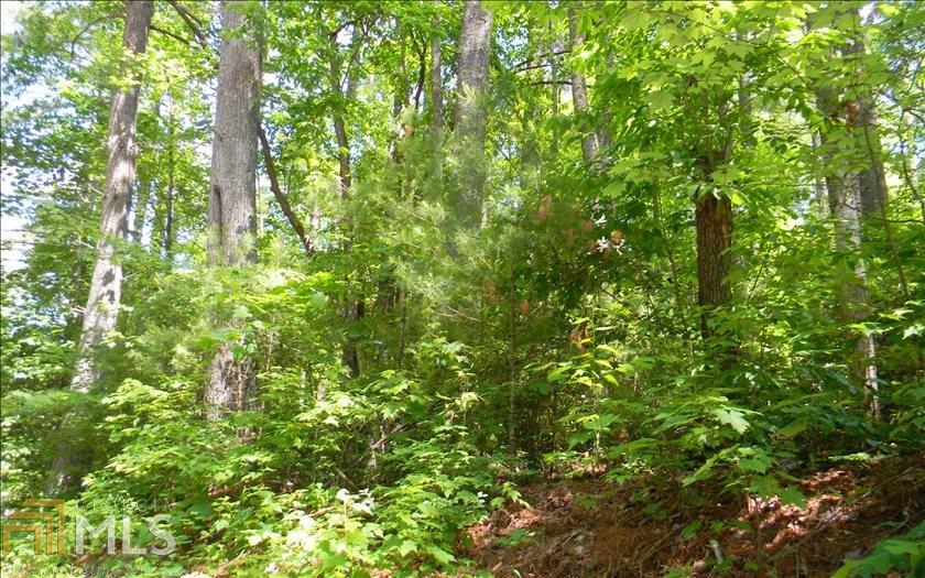 0 Hi River Rd - Photo 1