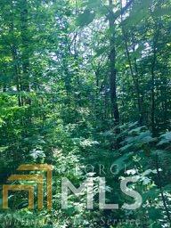 0 Keever Worley Rd - Photo 1