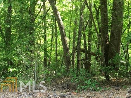 Lot 243 Bluegill Rd - Photo 1
