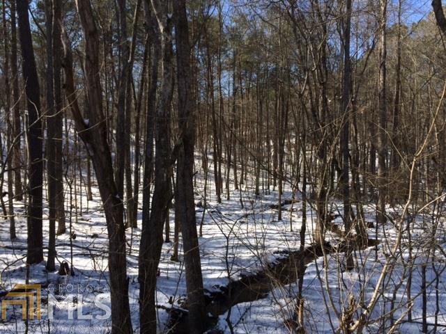 502 Mount Pleasant Rd - Photo 1