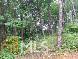 0 Pinnacle Ridge - Photo 1