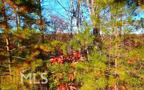 0 Walnut Hills Estates - Photo 1