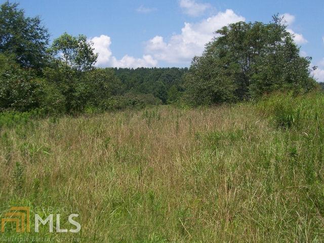 550 Antioch Rd - Photo 1
