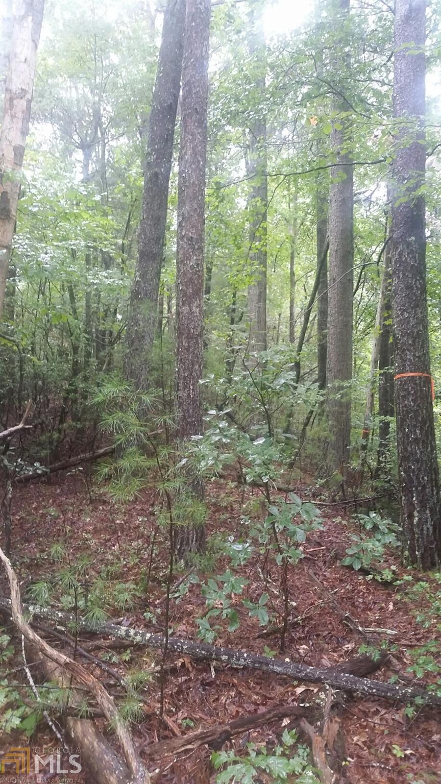 0 Etowah Trail - Photo 1