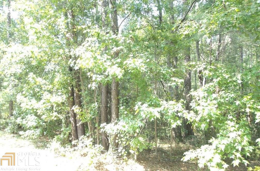 103 Red Bluff Run - Photo 1