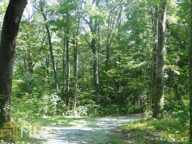 0 Old Highlands Hwy - Photo 1