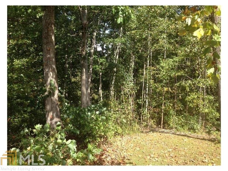 2550 Enchantress Way - Photo 1