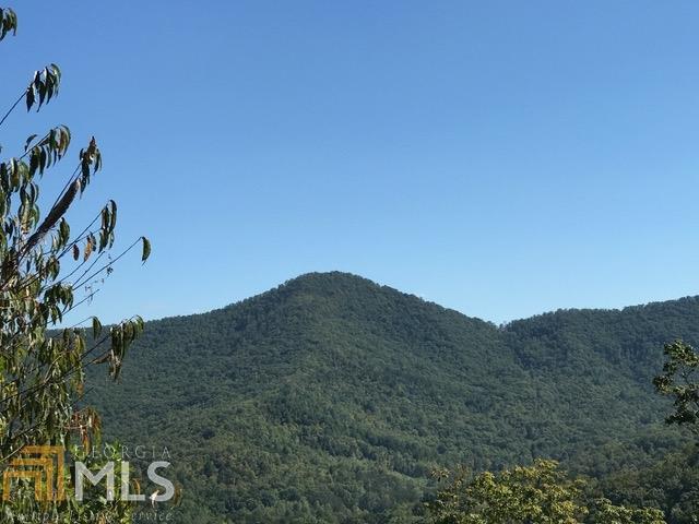 0 Scenic Views - Photo 1