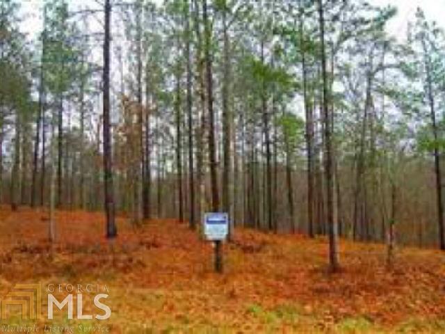 1020 Union Station Rd - Photo 1