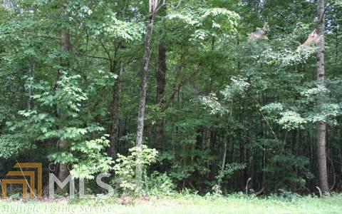 0 Blackberry Mountain Rd - Photo 1