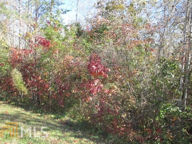 0 Preacher Campbell Rd - Photo 1