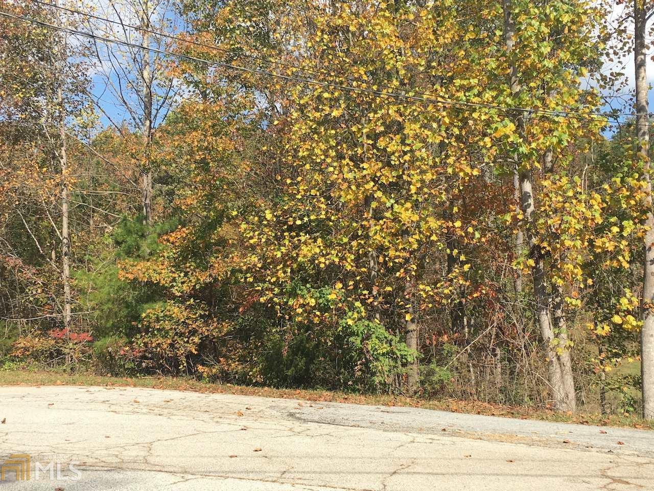 0 Forestbrook Dr - Photo 1