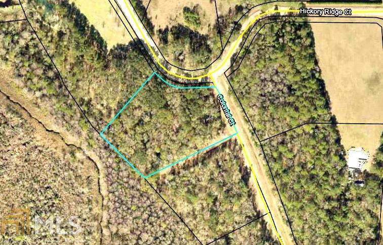 0 Hickory Ridge Ct - Photo 1