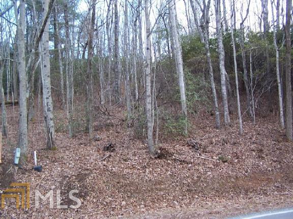 Lot#22 Bee Gum Gap - Photo 1