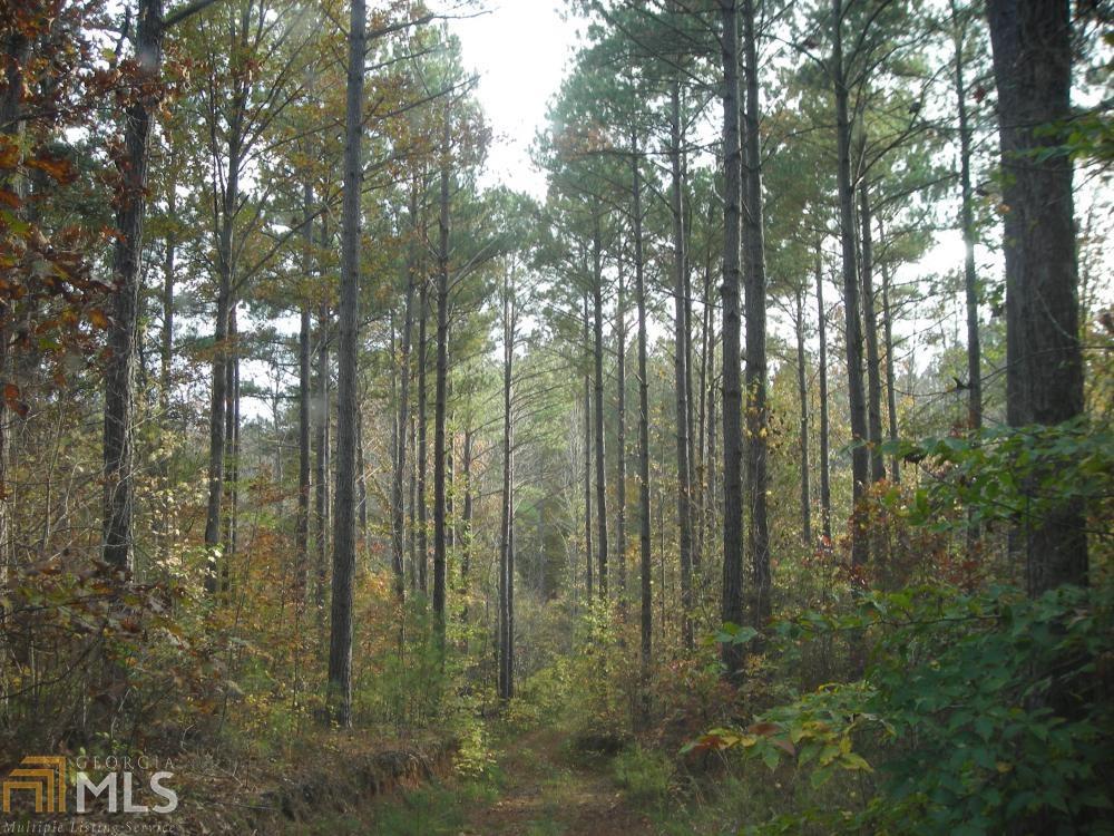 0 Blue Rd - Photo 1