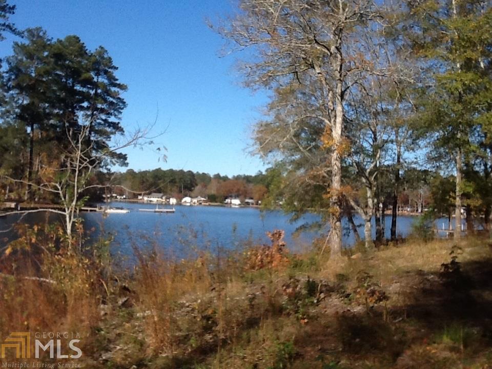 0 Dam Rd - Photo 1