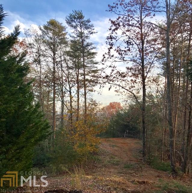 0 Shenandoah - Photo 1