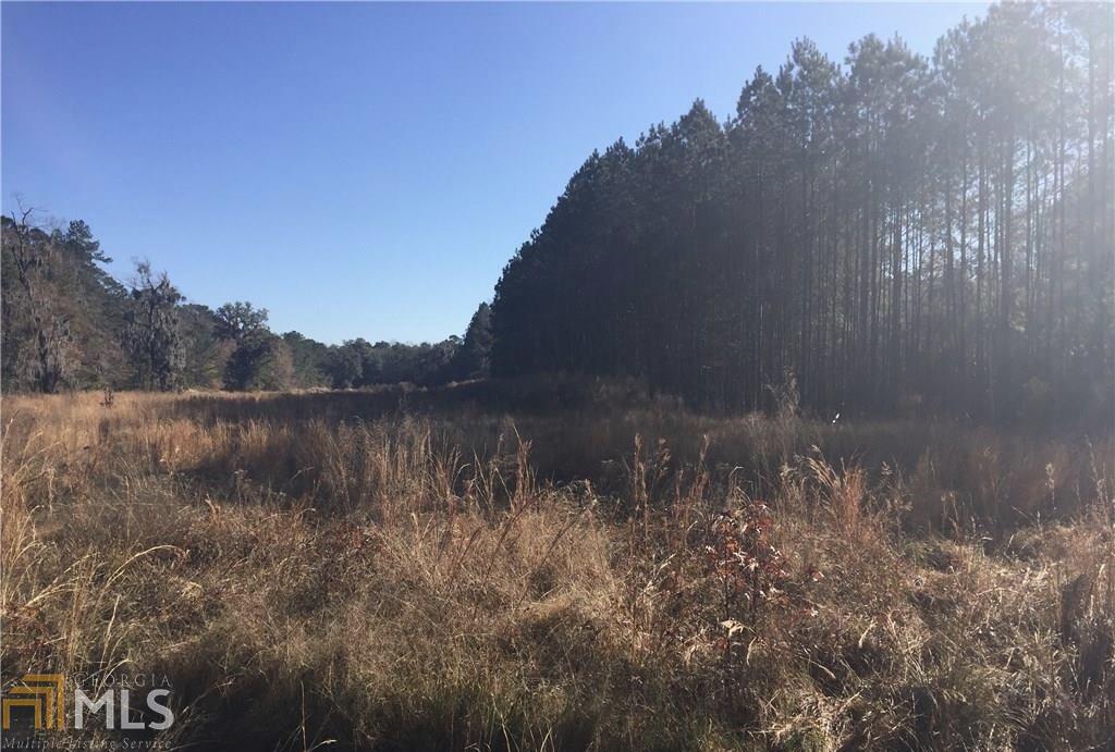 20325 Highway 144 - Photo 1