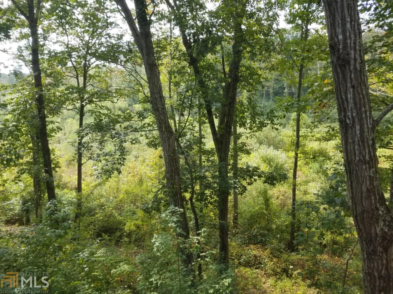 00 Bradley Dr - Photo 1
