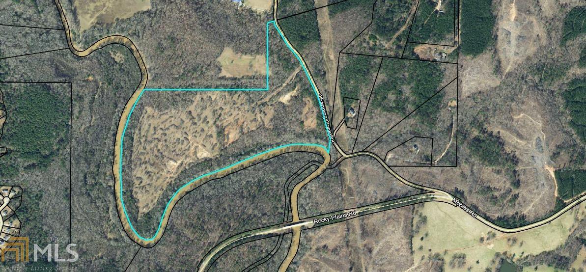 0 Channing Cope Rd - Photo 1