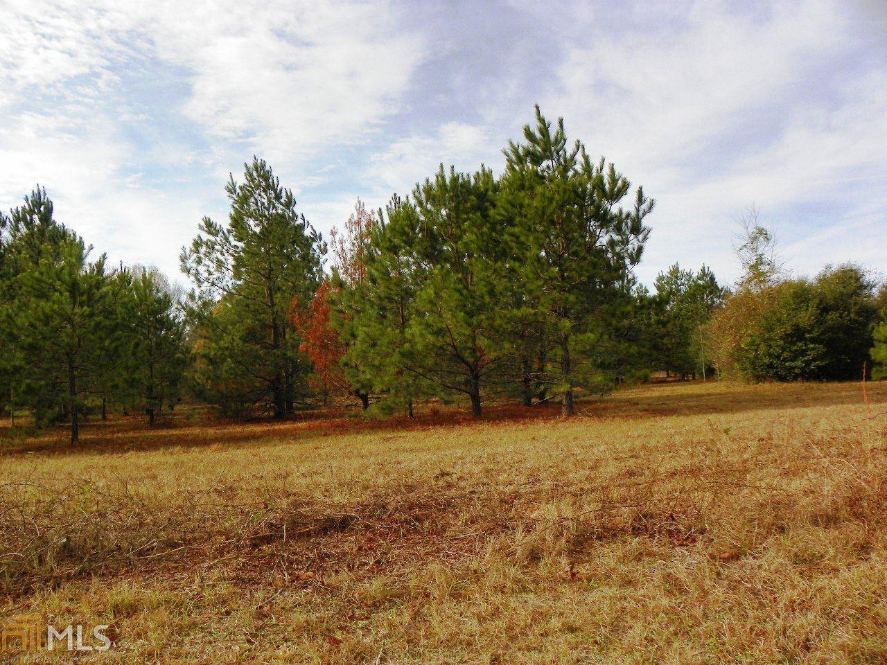 0 Claxton Dairy Rd - Photo 1