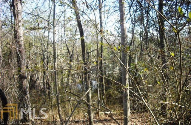 0 Ridgeview Acres - Photo 1