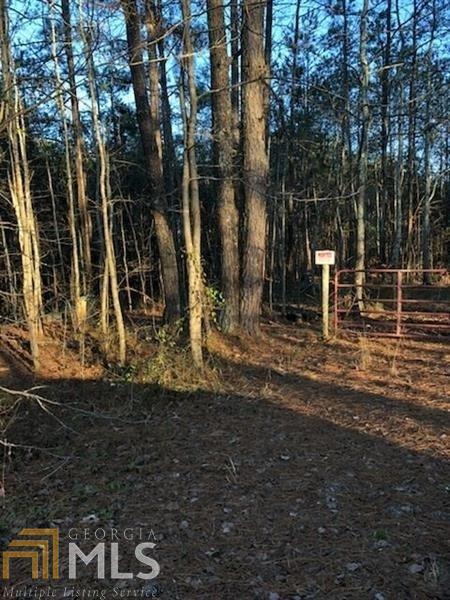 6037 Jacobs Rd - Photo 1