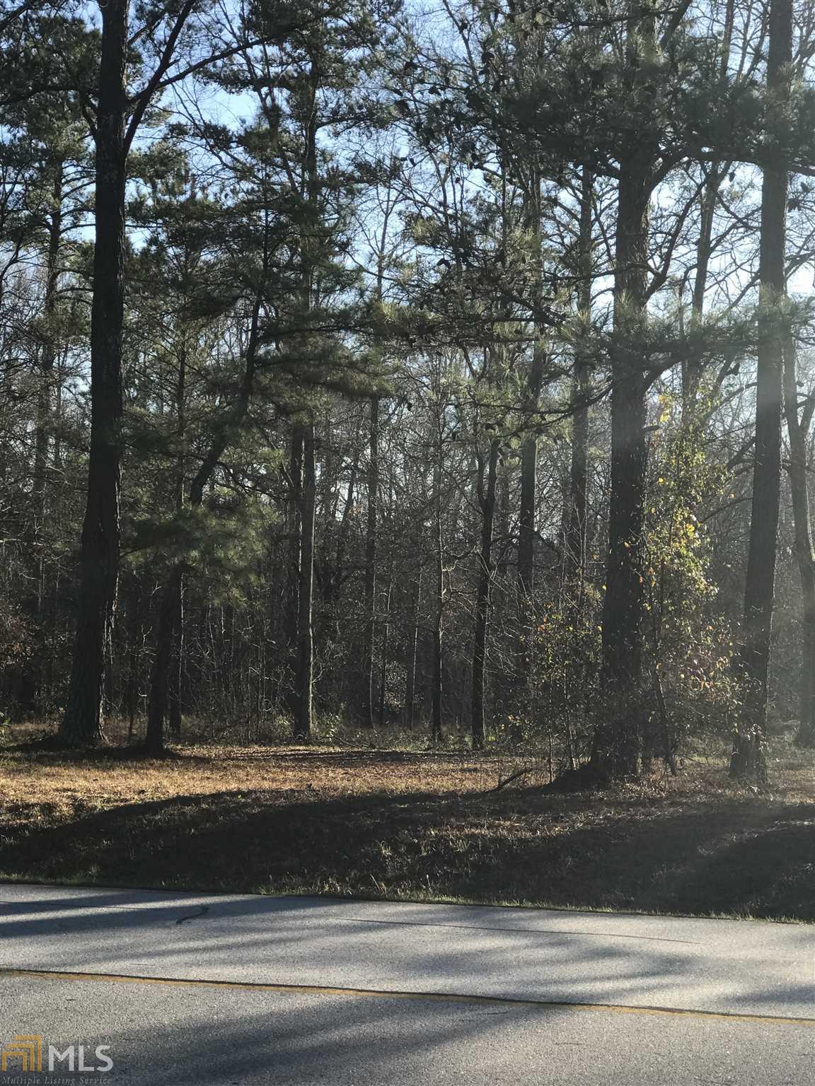 0 Ga Hwy 85 Connector - Photo 1